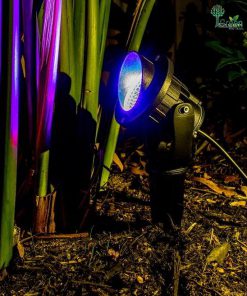 Led ánh sáng RGB