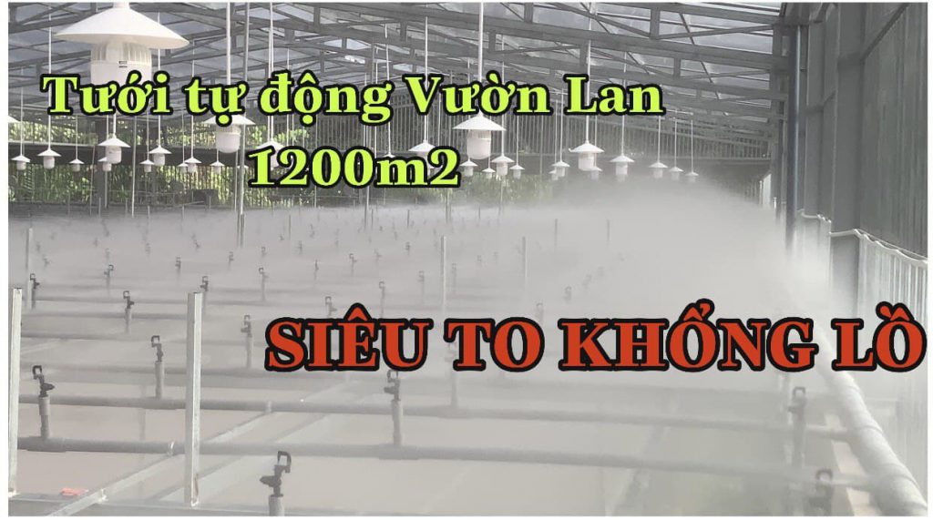 hệ thống tưới phun sương tự động vườn lan Bình Phước 1200m2 27