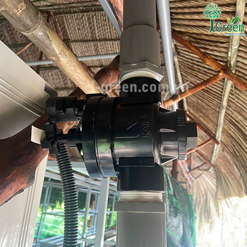 Tưới phun sương tự động cho vườn nấm Quận 12
