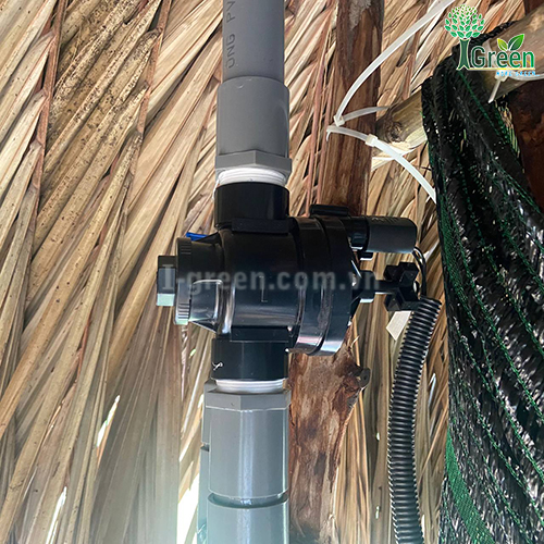 Tưới phun sương tự động cho vườn nấm Quận 12