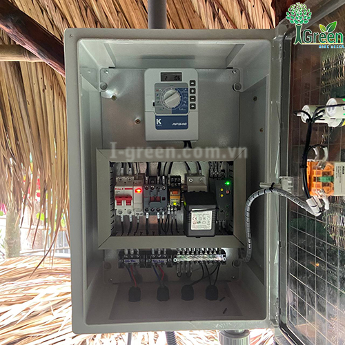 Tưới phun sương tự động cho vườn nấm Quận 12
