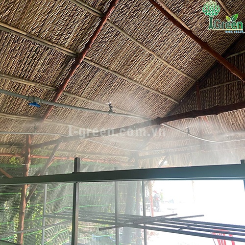 Tưới phun sương tự động cho vườn nấm Quận 12