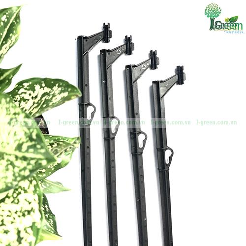 cay-cam-do-bec-tuoi-cao-43cm-automat-an-do