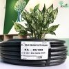 Ống LDPE 16mm dẫn nước cao cấp KRain-Mỹ