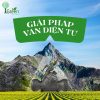 Van điện từ Bermad - Israel