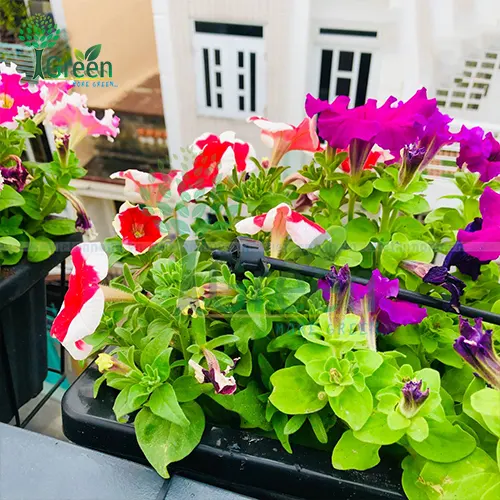 Vòi tưới nhỏ giọt bù áp 4lh-1
