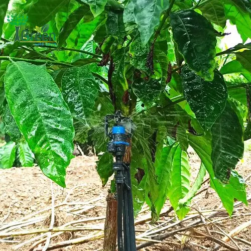bec-tuoi-goc-bu-ap-aq206pc-50l-5