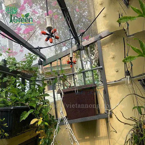 Béc phun sương 5 hướng đủ bộ-1