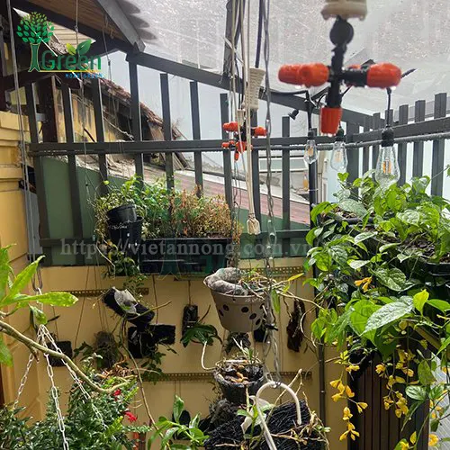 Béc phun sương 5 hướng đủ bộ