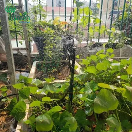 Béc tưới gốc bẻ gờ chỉnh bán kính 150 lít AQ206HT