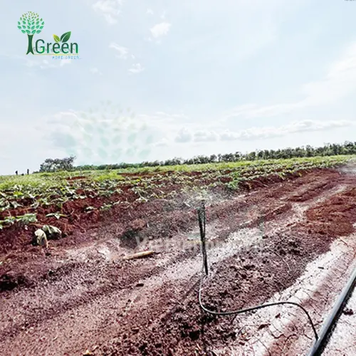 giai-phap-he-thong-tuoi-tu-dong-mua-kho-han