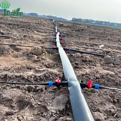 hệ thống đường ống chính và ống nhánh